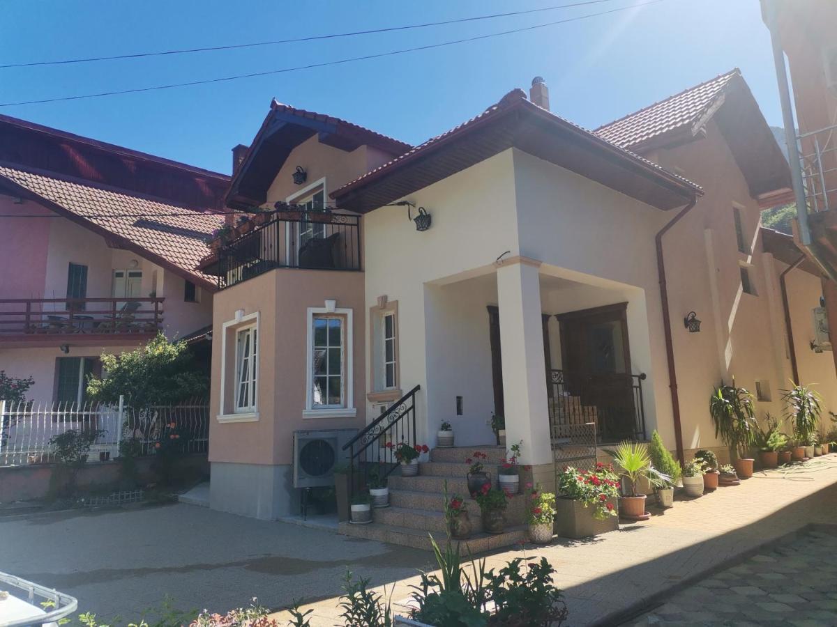 Vila Ana Бэиле-Еркулане Экстерьер фото