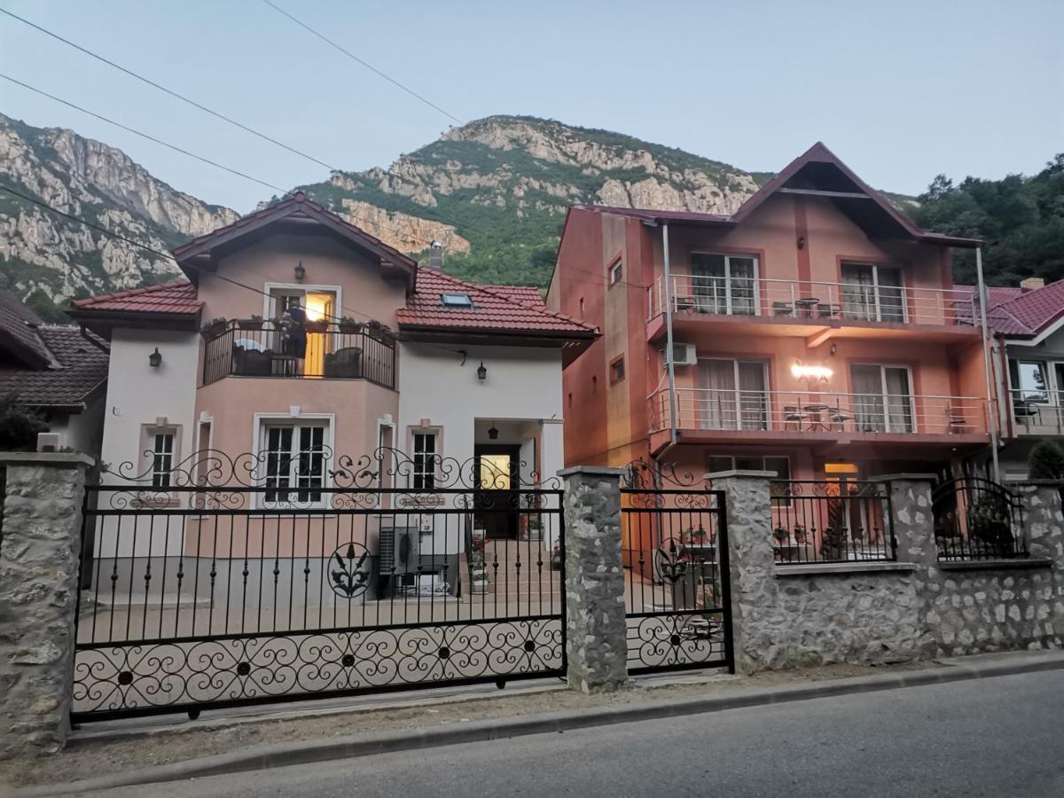 Vila Ana Бэиле-Еркулане Экстерьер фото