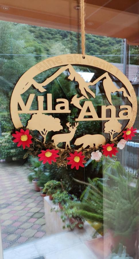 Vila Ana Бэиле-Еркулане Экстерьер фото